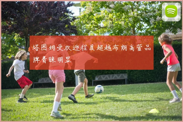 塔图姆受欢迎程度超越布朗高管品牌青睐明显