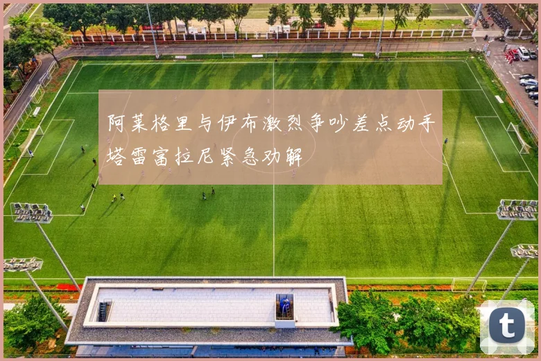 阿莱格里与伊布激烈争吵差点动手塔雷富拉尼紧急劝解
